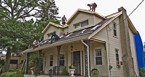 Professional Roofing Contractor in Sherrelwood, CO